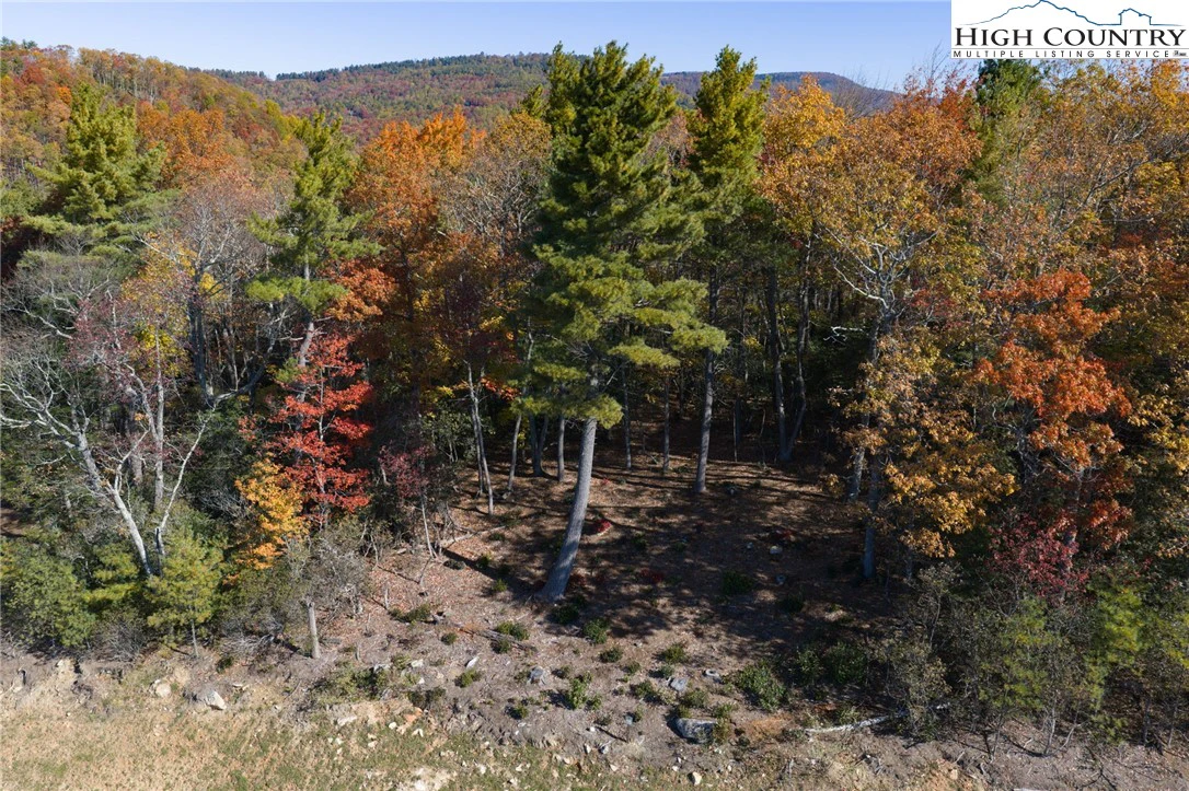 Image number 7 for the current listing