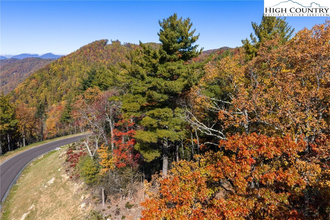 Image number 9 for the current listing