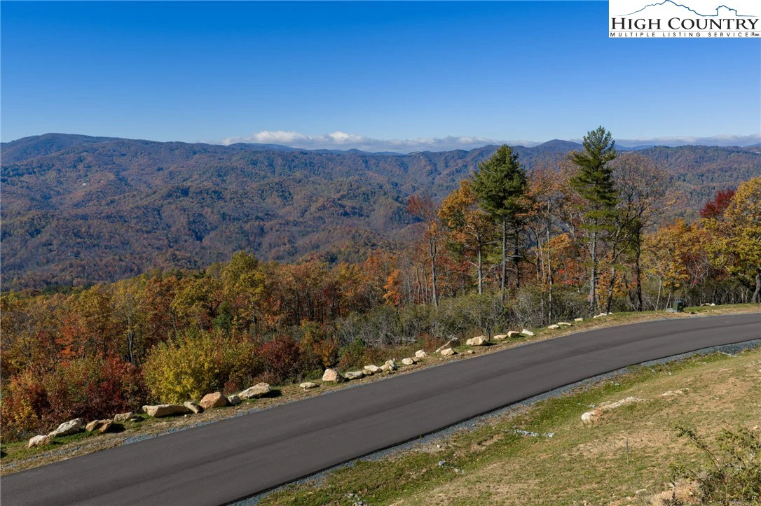 Image number 1 for the current listing