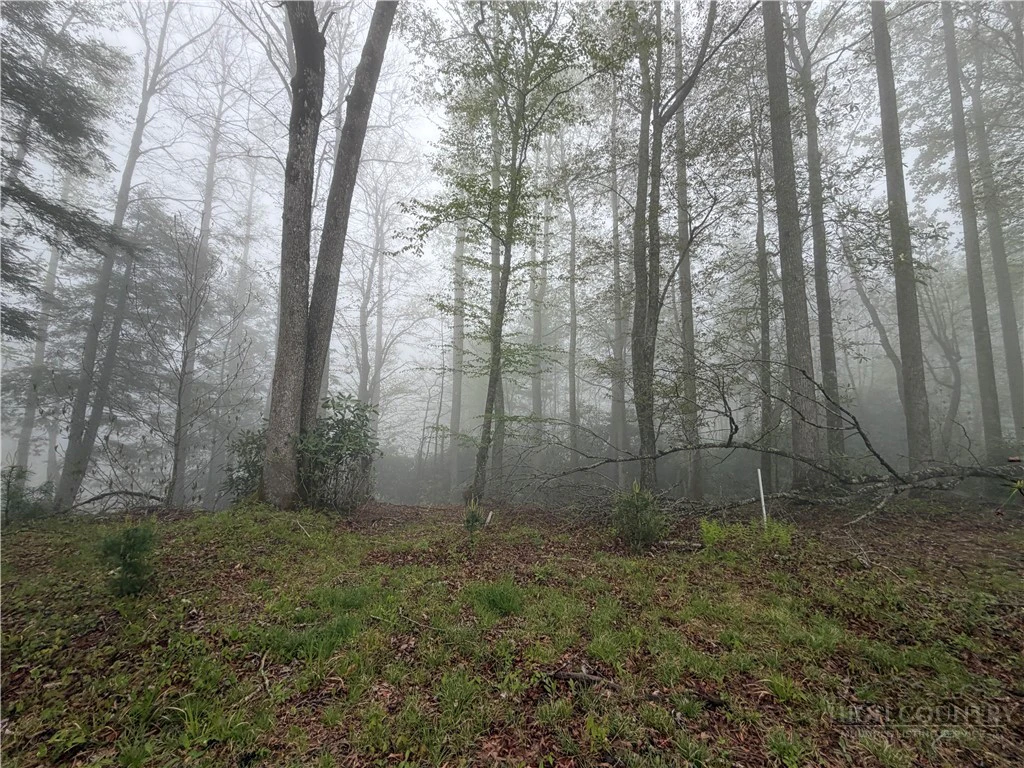 Image number 1 for the current listing