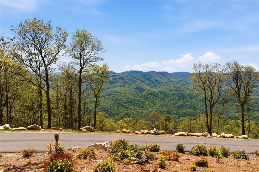 Image number 1 for the current listing