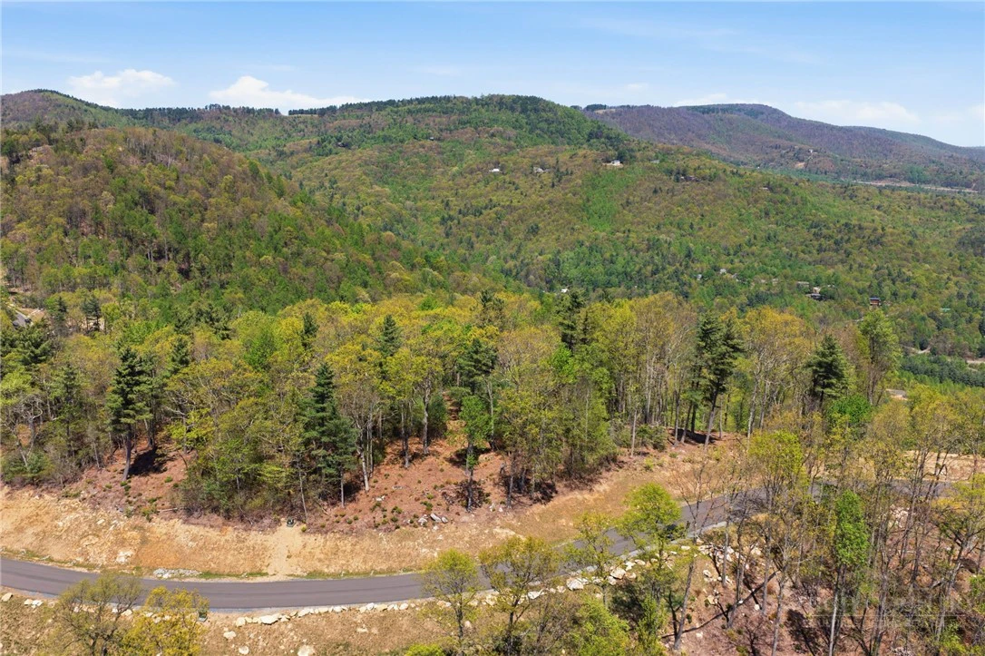 Image number 21 for the current listing