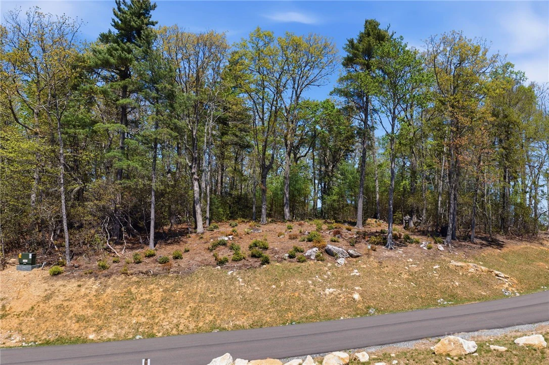 Image number 17 for the current listing