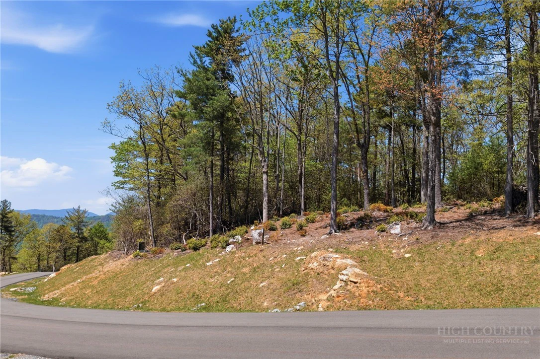 Image number 16 for the current listing
