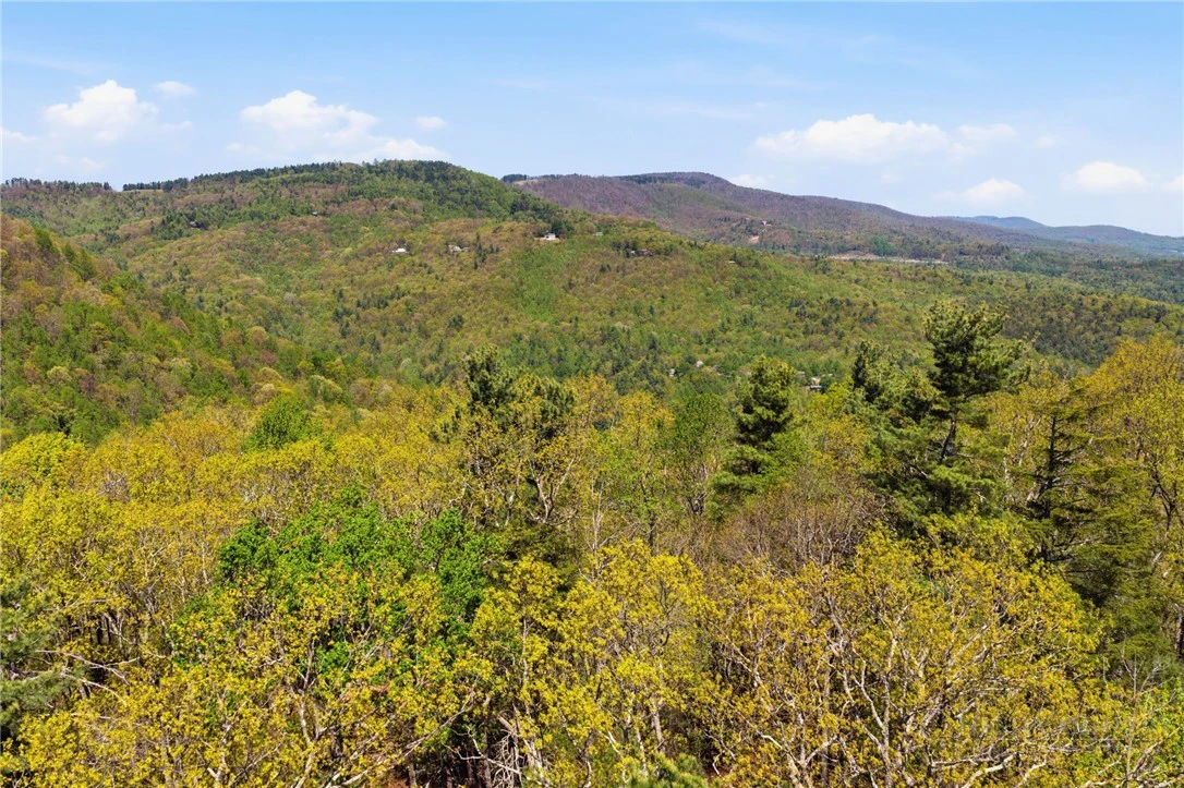 Image number 2 for the current listing
