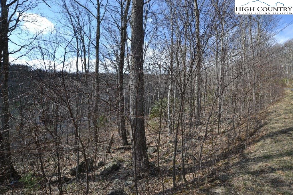 Image number 1 for the current listing