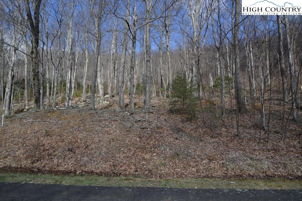 Image number 3 for the current listing