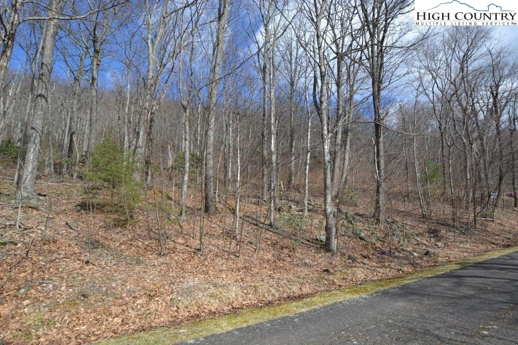 Image number 4 for the current listing
