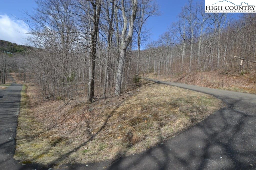 Image number 5 for the current listing