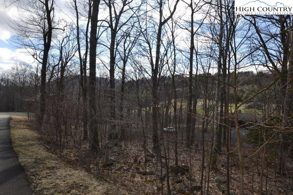 Image number 7 for the current listing