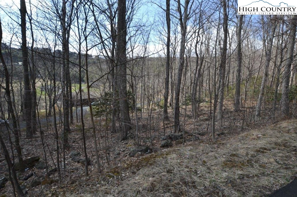 Image number 8 for the current listing