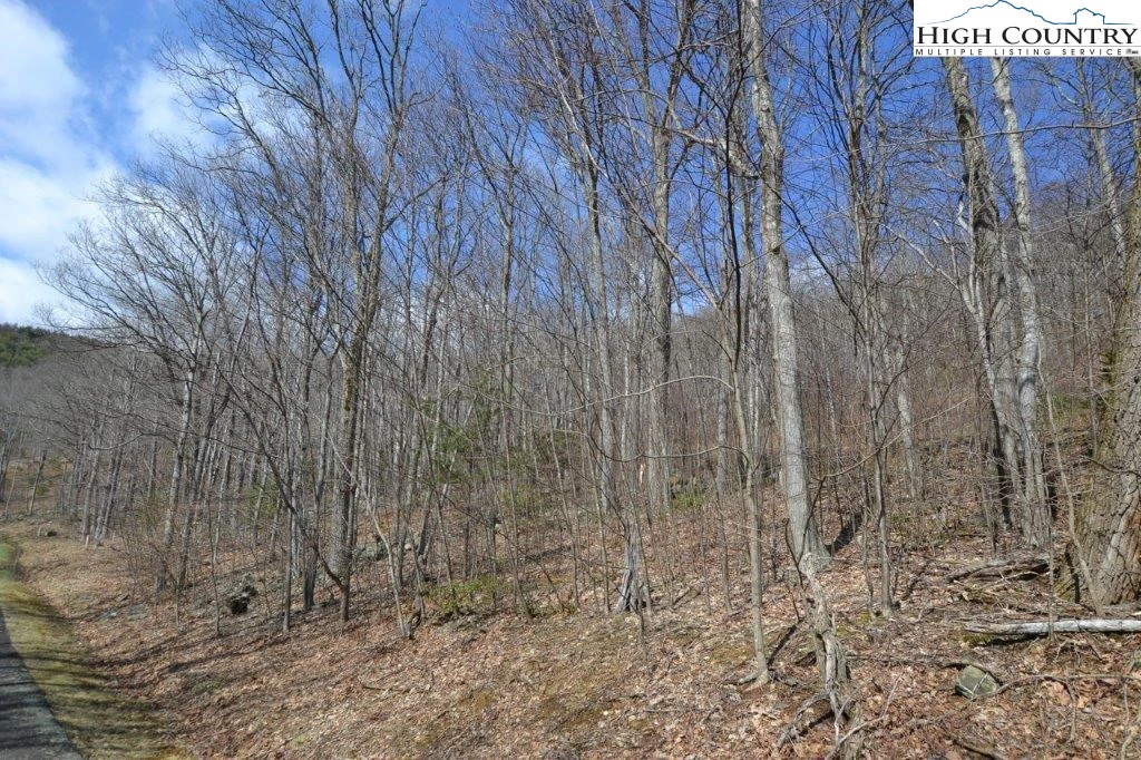 Image number 9 for the current listing
