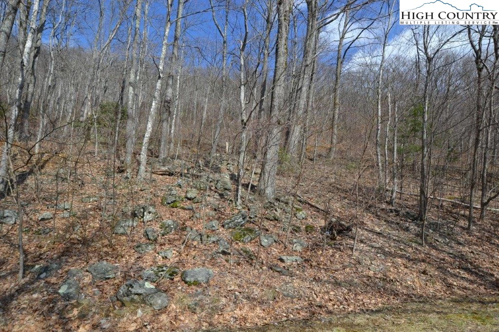 Image number 10 for the current listing