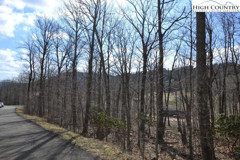 Image number 11 for the current listing