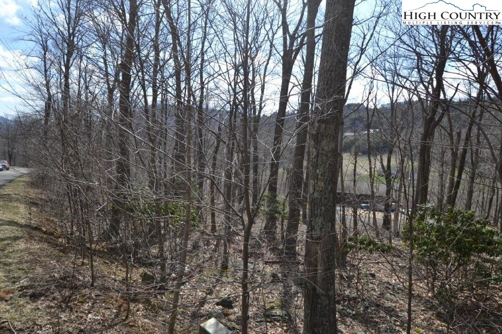 Image number 12 for the current listing