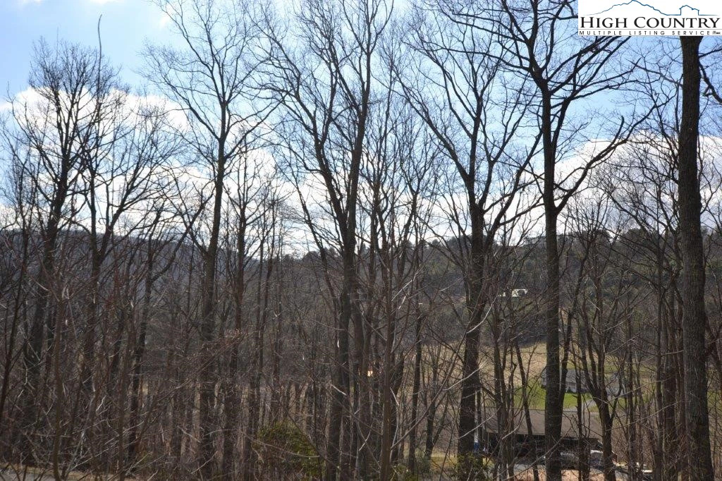 Image number 13 for the current listing