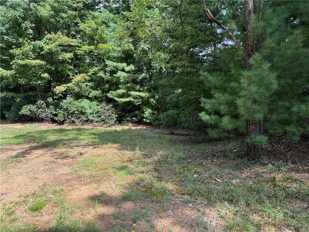 Image number 1 for the current listing