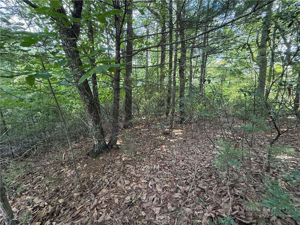 Image number 5 for the current listing