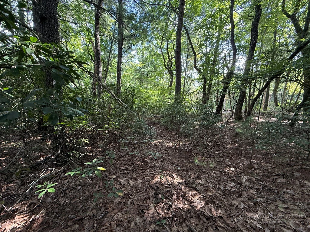 Image number 4 for the current listing