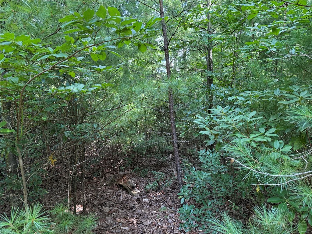 Image number 6 for the current listing