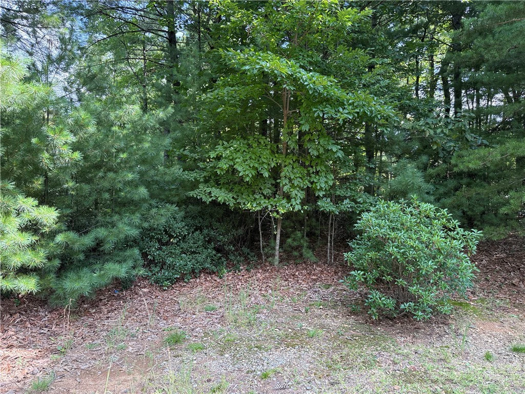 Image number 7 for the current listing