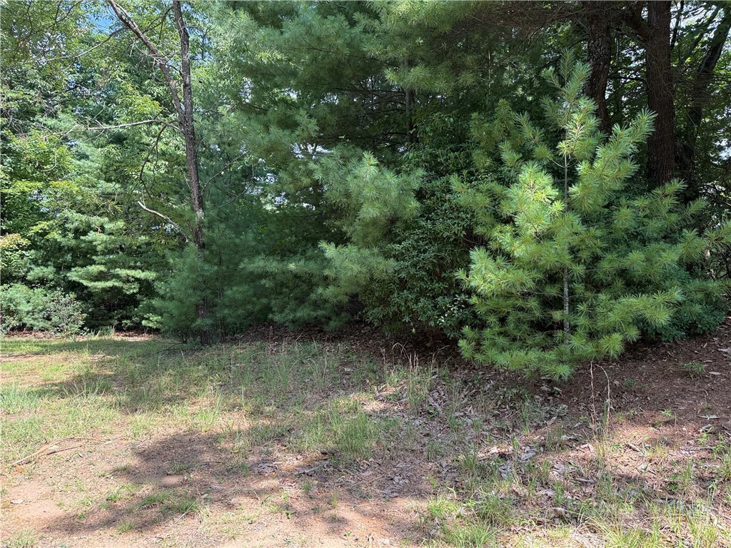 Image number 8 for the current listing