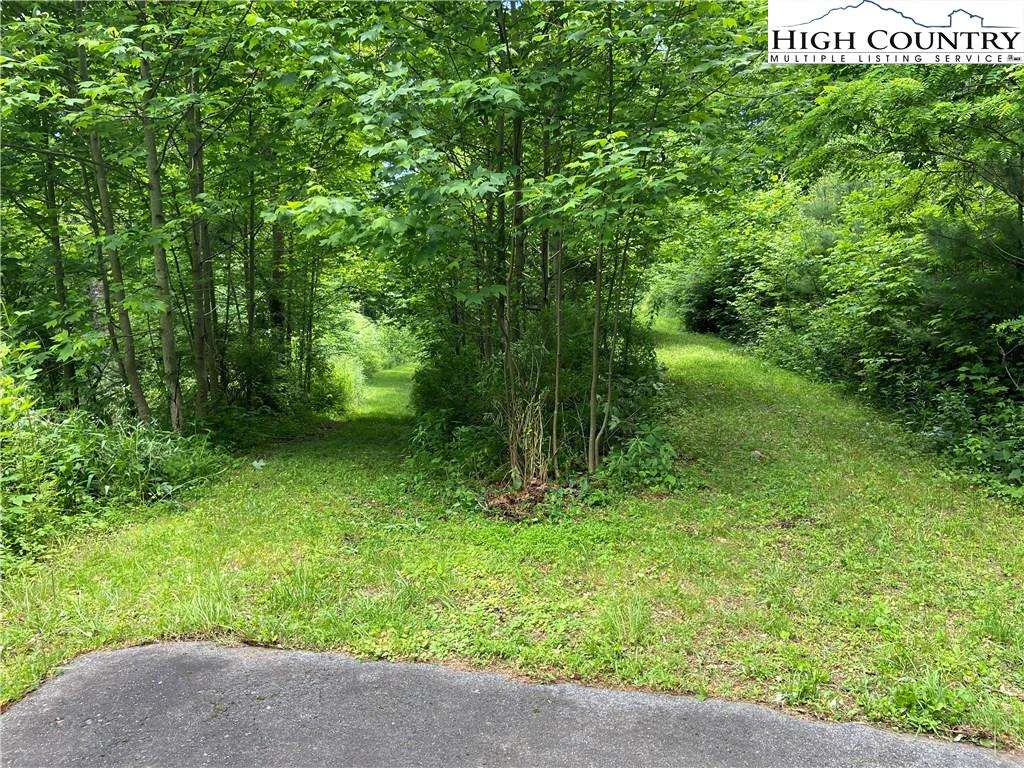Image number 4 for the current listing