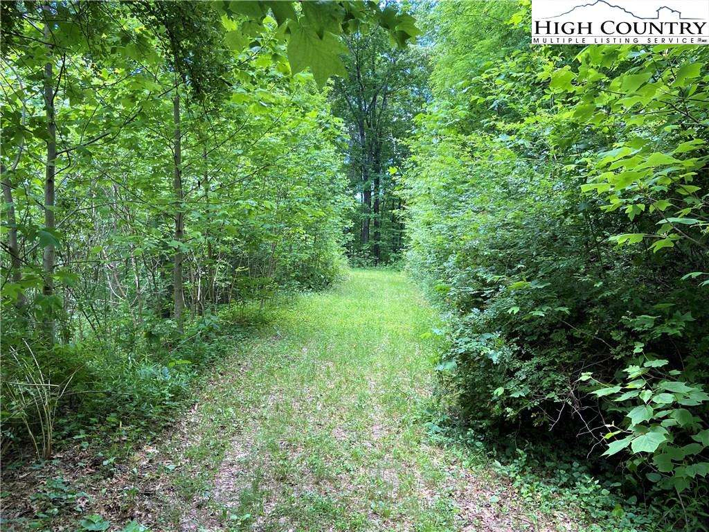 Image number 5 for the current listing