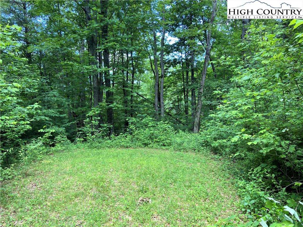 Image number 6 for the current listing