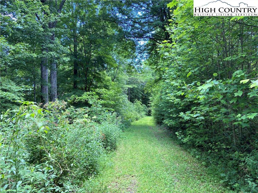 Image number 9 for the current listing