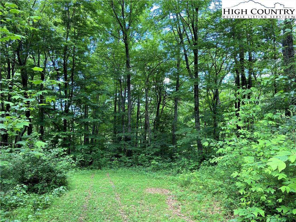 Image number 10 for the current listing