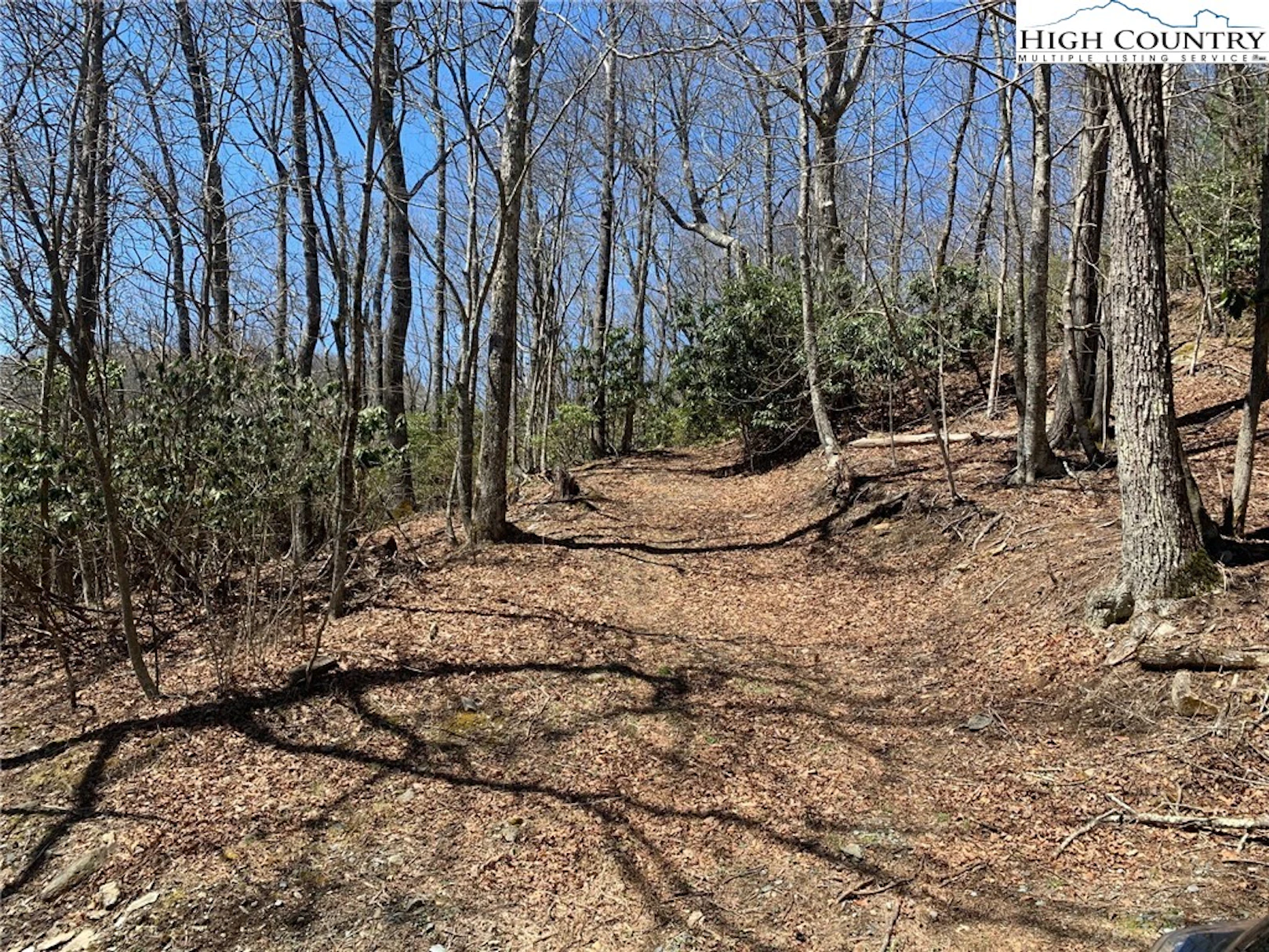 Image number 9 for the current listing