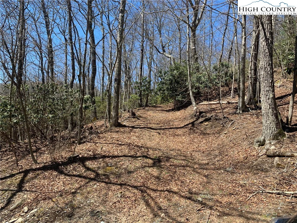 Image number 9 for the current listing