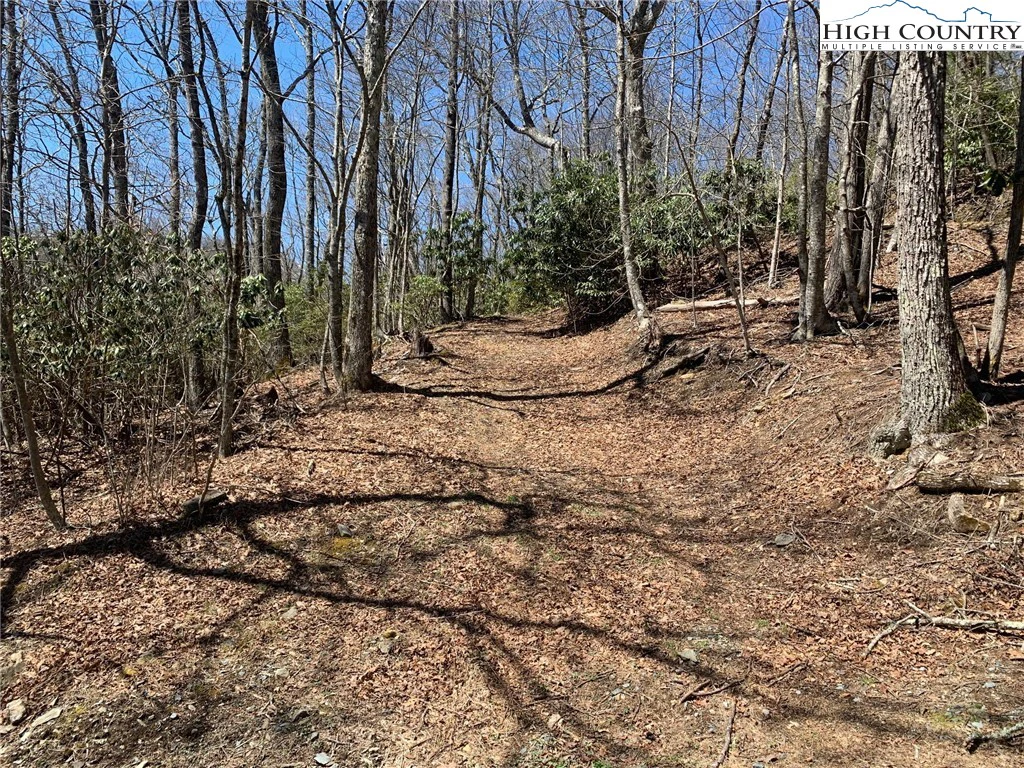 Image number 12 for the current listing