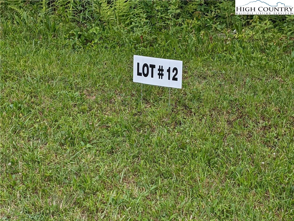Image number 1 for the current listing