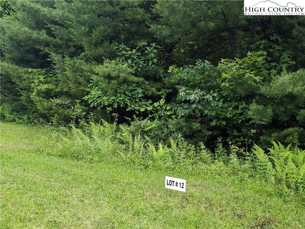 Image number 3 for the current listing
