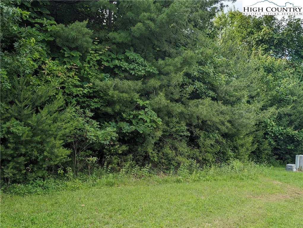 Image number 6 for the current listing