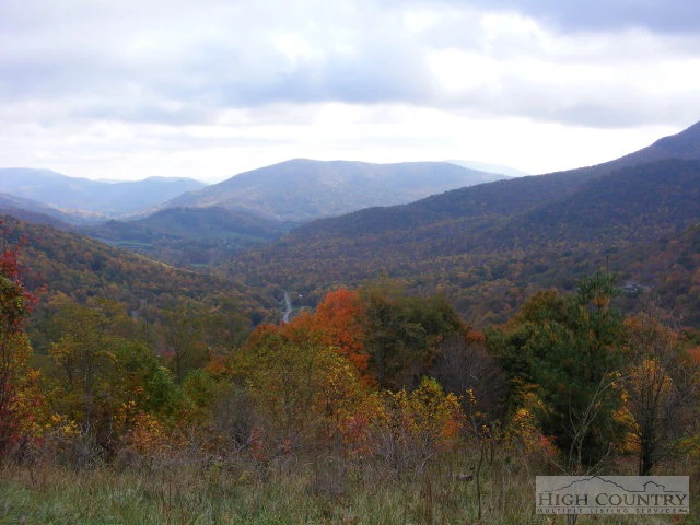 Image number 1 for the current listing