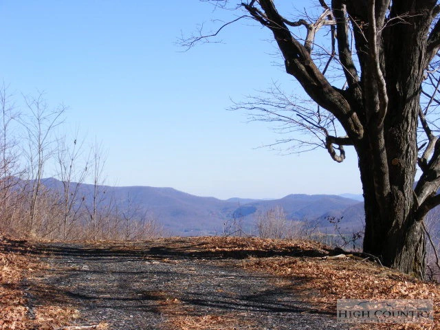 Image number 4 for the current listing
