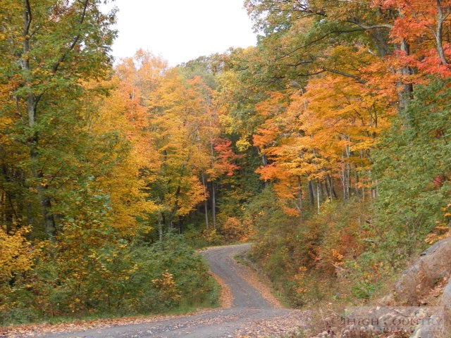 Image number 5 for the current listing