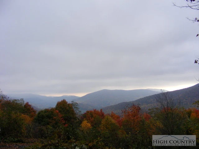 Image number 7 for the current listing