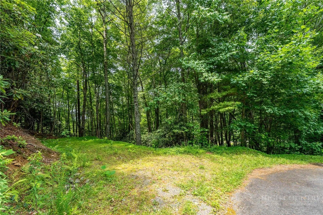 Image number 2 for the current listing