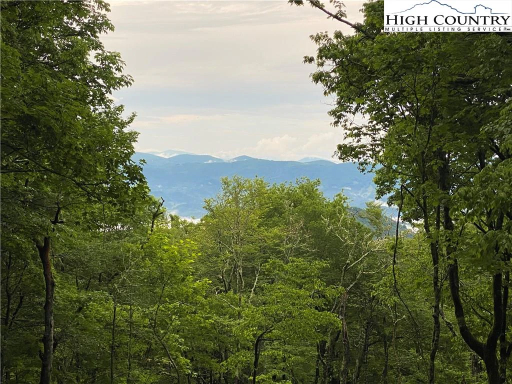Image number 1 for the current listing