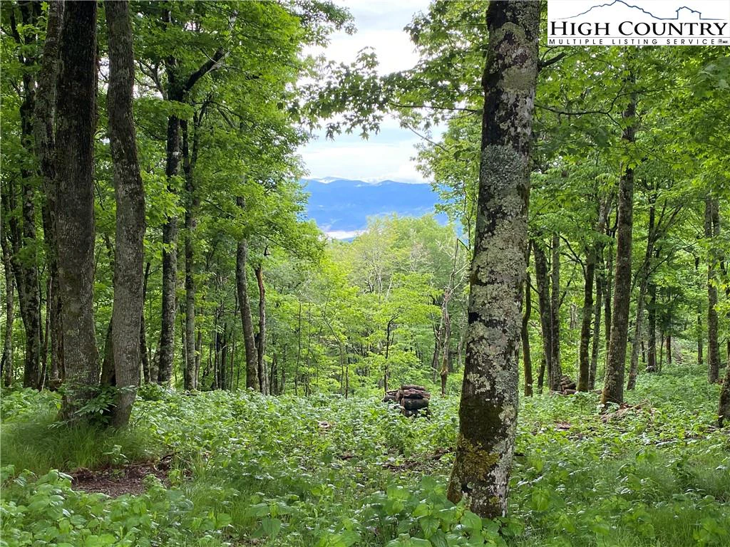 Image number 14 for the current listing