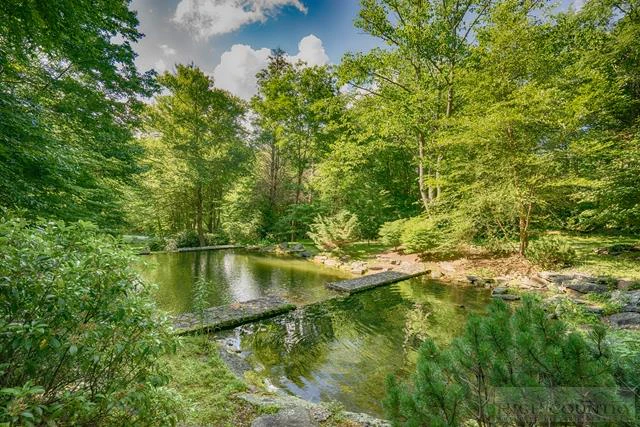 Image number 7 for the current listing