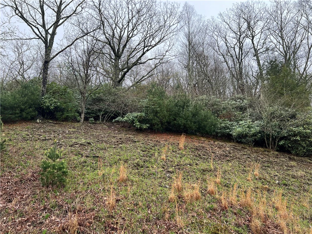 Image number 3 for the current listing