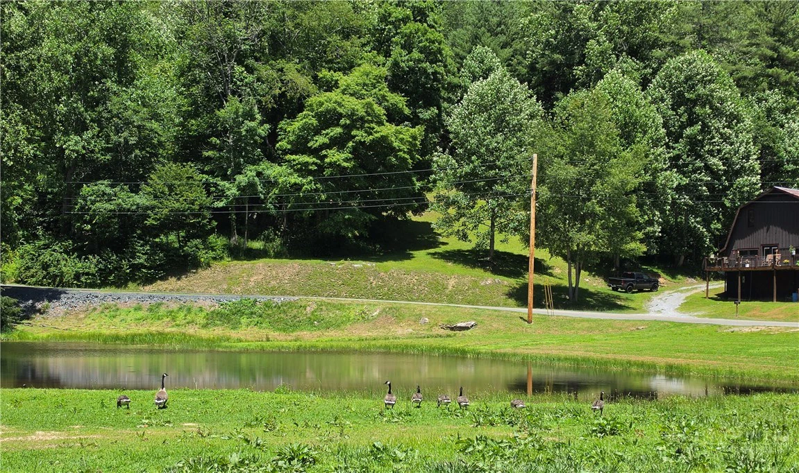Image number 5 for the current listing