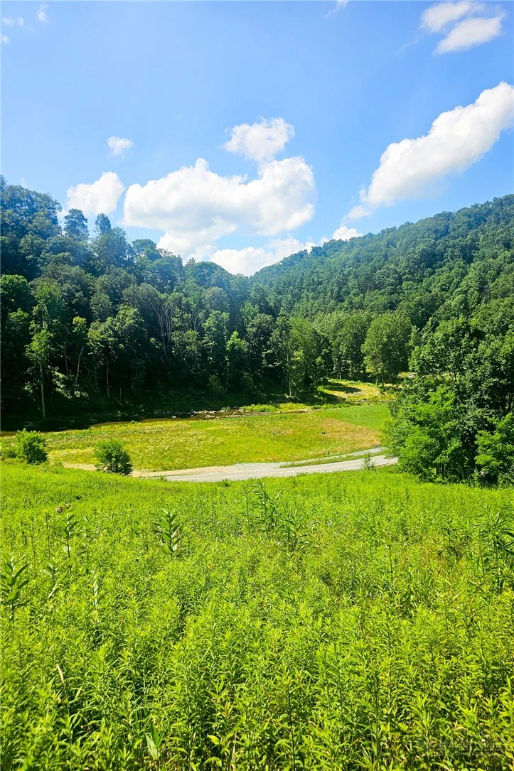 Image number 2 for the current listing