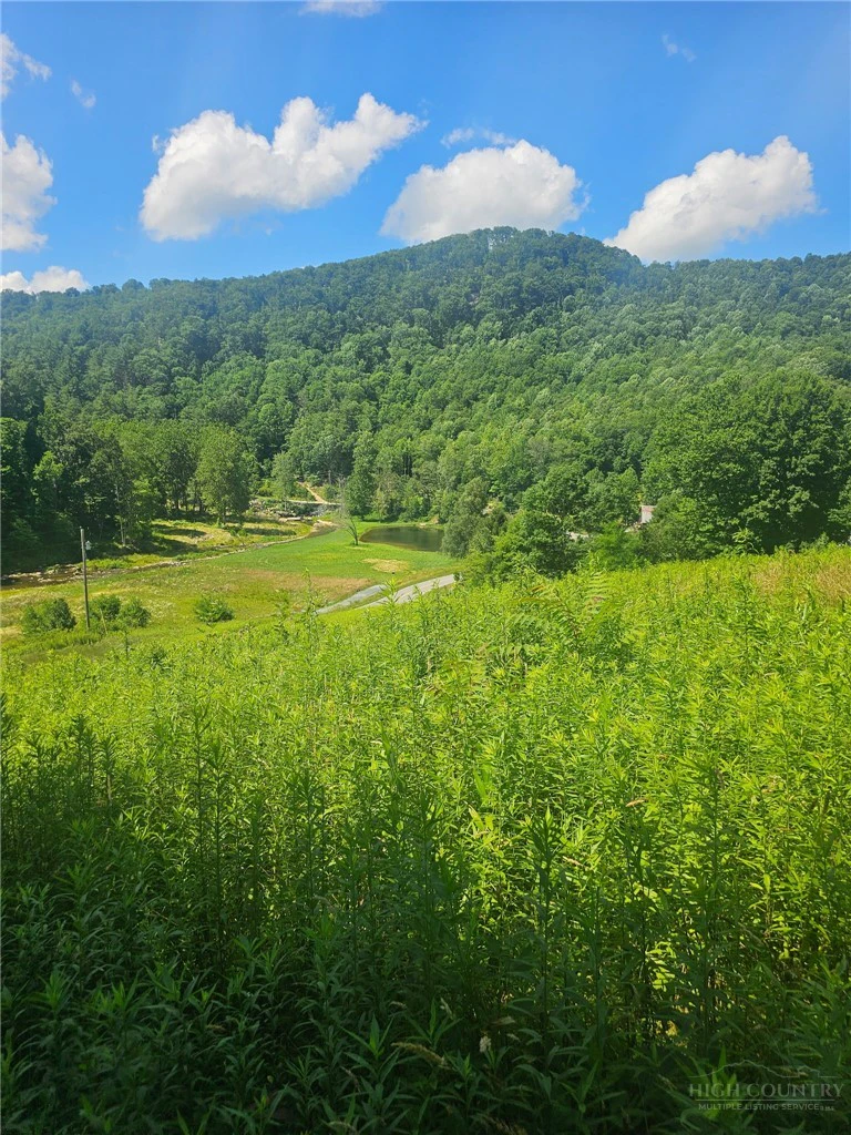 Image number 4 for the current listing