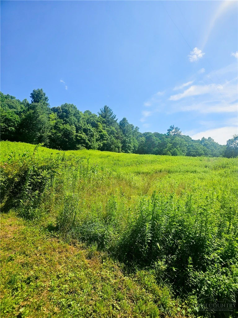 Image number 8 for the current listing